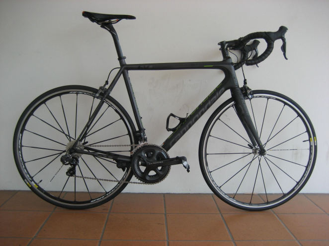 linton_s_cannondale_evo