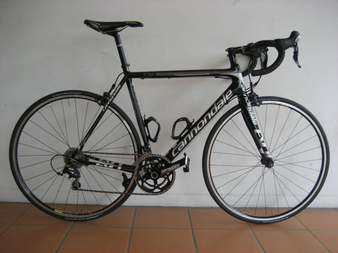 warren_s_cannondale_evo